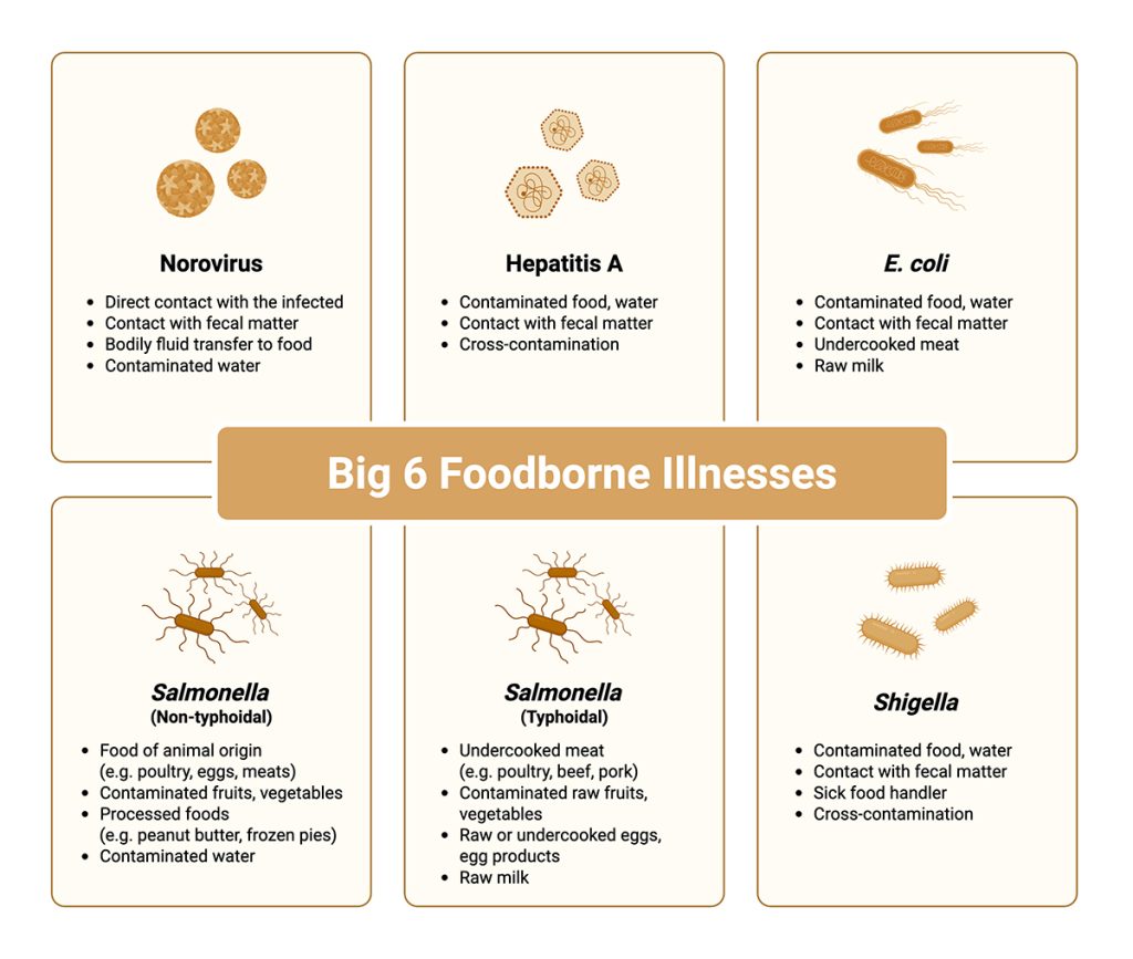 Big Six Foodborne Illnesses