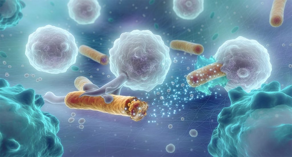 microbiome